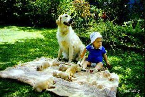 113 Hilda St, Enoggera, QLD 4051