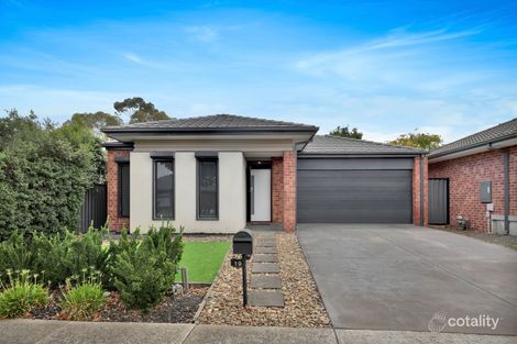 19 Chicory St, Mernda, VIC 3754