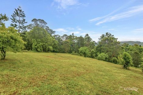 137 Blue Knob Rd, Nimbin, NSW 2480