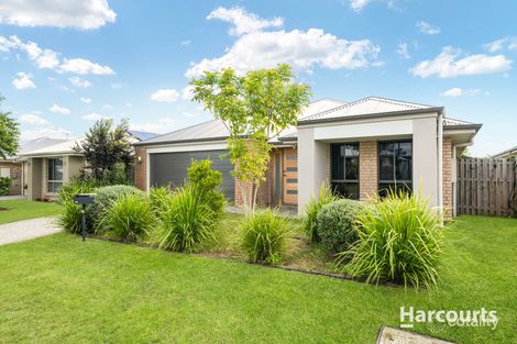 Property photo of 17 Casey Street Pimpama QLD 4209