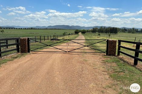 Property photo of 470 Dalswinton Road Dalswinton NSW 2328