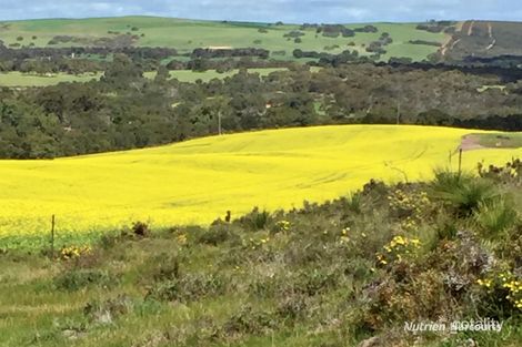 162 Woolmulla Rd, Warradarge, WA 6518