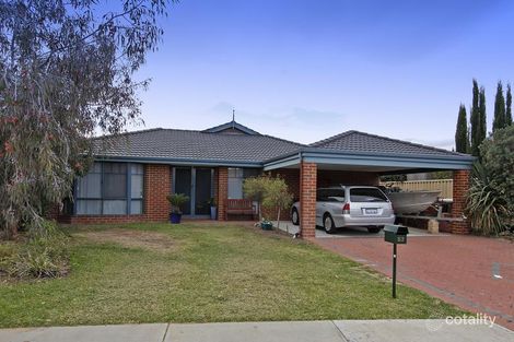 53 Marchwood Bvd, Butler, WA 6036