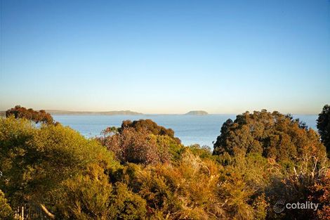 28 Viewbank St, Shoreham, VIC 3916