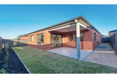 Property photo of 11 Bellinger Circuit Craigieburn VIC 3064