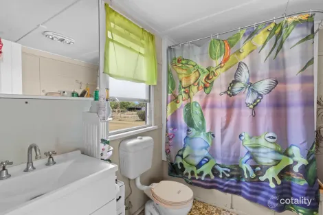 Property photo of 24 Perham Street Pittsworth QLD 4356