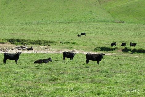 Horse Creek Rd, Jingellic, NSW 2642