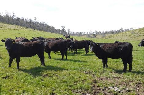 Property photo of 5050 Tasman Highway Buckland TAS 7190