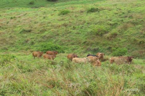 Property photo of 255 Chapman Road Wooderson QLD 4680