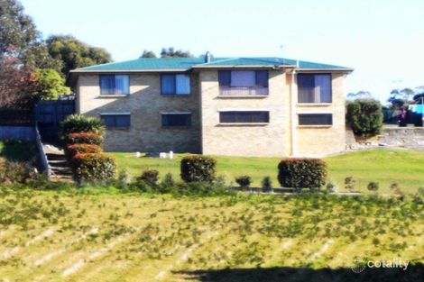 25543 Tasman Hwy, St Helens, TAS 7216