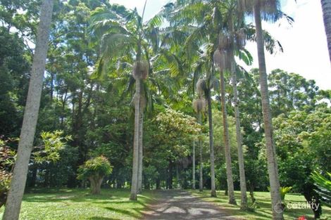 Property photo of 82 Coopers Creek Road Repentance Creek NSW 2480