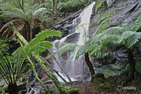 5073 Great Ocean Rd, Lavers Hill, VIC 3238