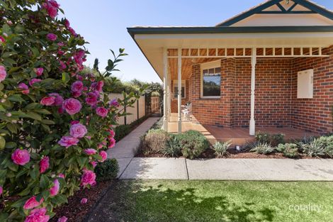 Property photo of 24 Kitchen Street Mansfield VIC 3722