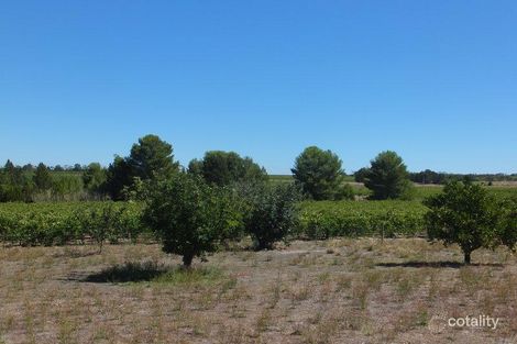 Property photo of 233 Pine Drive Nuriootpa SA 5355