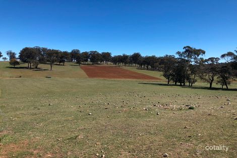 1276 Hartford Rd, Walcha, NSW 2354