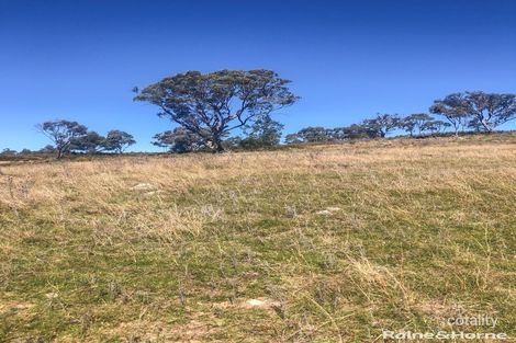 350 Posey Hill Rd, Hill End, NSW 2850