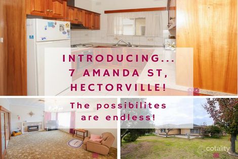 Property photo of 7 Amanda Street Hectorville SA 5073