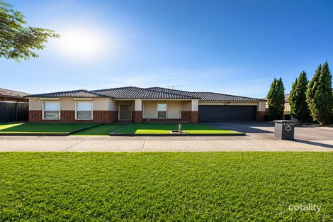 8 Camphora St, Tarneit, VIC 3029