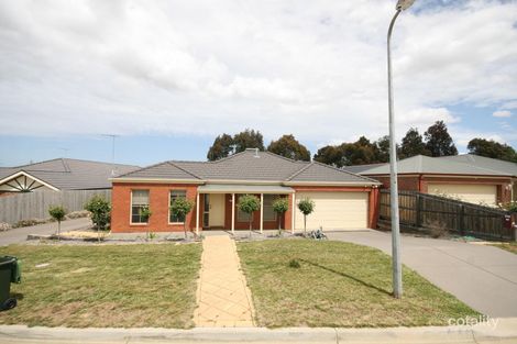 1/17 Molesworth Dr, Highton, VIC 3216