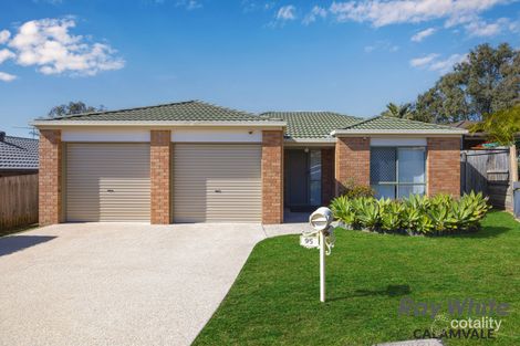 95 Linaria Cct, Drewvale, QLD 4116