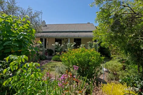 Property photo of 3 Smythe Street Benalla VIC 3672