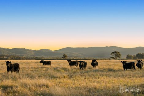 117 De Beyers Rd, Pokolbin, NSW 2320