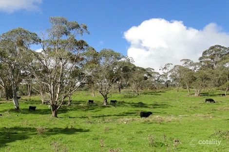 345 Point Lookout Rd, Ebor, NSW 2453