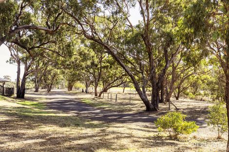 Property photo of 11 Woods View Craigburn Farm SA 5051