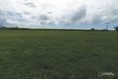 Property photo of 11 Riverdowns Drive Halifax QLD 4850