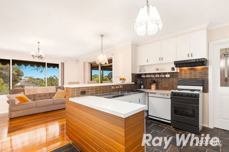 Property photo of 20 Lupin Street Blackburn North VIC 3130