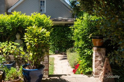 Property photo of 241 Trafalgar Street Annandale NSW 2038