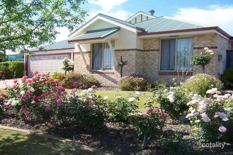 Property photo of 181 Bronzewing Avenue Ellenbrook WA 6069