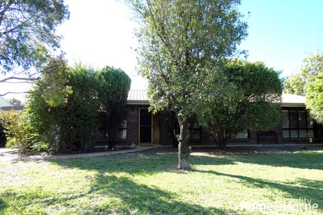 Property photo of 9 Bohenia Crescent Moree NSW 2400