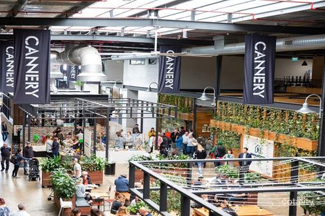 Property photo of 15 Princess Avenue Rosebery NSW 2018