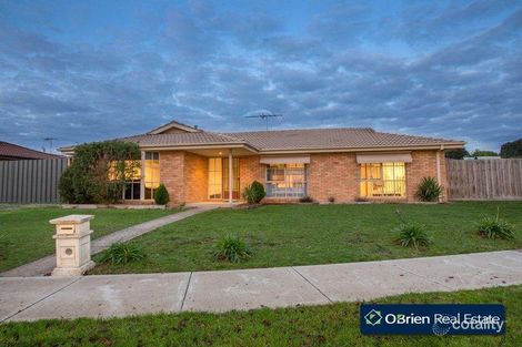 Property photo of 12 Florence Avenue Berwick VIC 3806