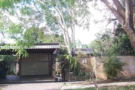 Property photo of 60 Valhalla Street Sunnybank QLD 4109