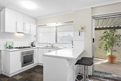 Property photo of 6 Palomino Parade Wynn Vale SA 5127