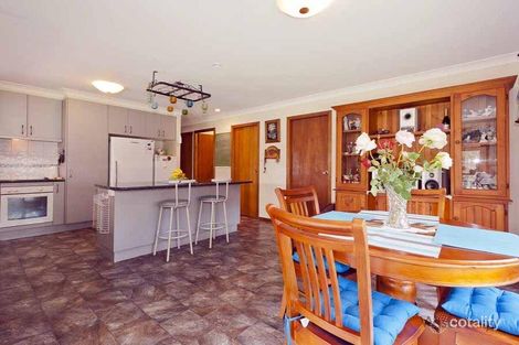 Property photo of 1059 Comboyne Road Cedar Party NSW 2429