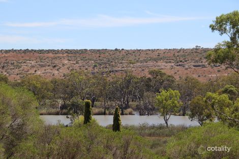 46 Tom Groggin Dr, Younghusband, SA 5238