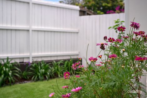 Property photo of 2/47 Kent Street Hamilton QLD 4007