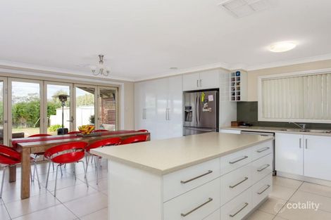 Property photo of 53 Veale Street Ashmont NSW 2650