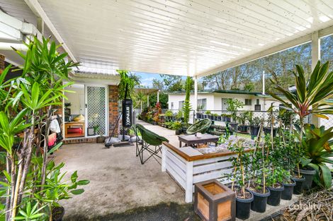 Property photo of 37 Cassia Avenue Coolum Beach QLD 4573