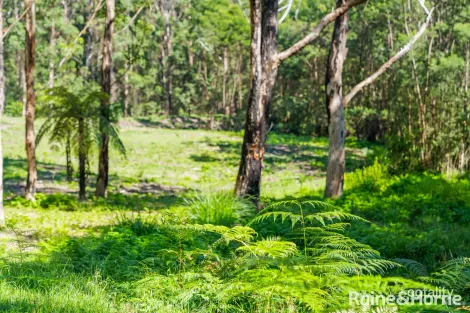 Property photo of LOT 122 Egans Farm Lane Yatte Yattah NSW 2539