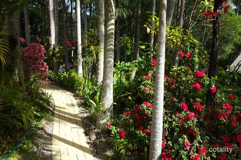 Property photo of 59 Pepperwood Road Bonogin QLD 4213