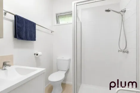 Property photo of 50 Milsom Street Coorparoo QLD 4151