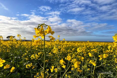 2655 Boxwood Hill-Ongerup Rd, Monjebup, WA 6338