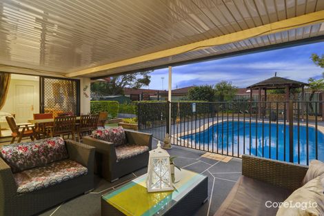 Property photo of 17 Hopbush Street Palm Beach QLD 4221