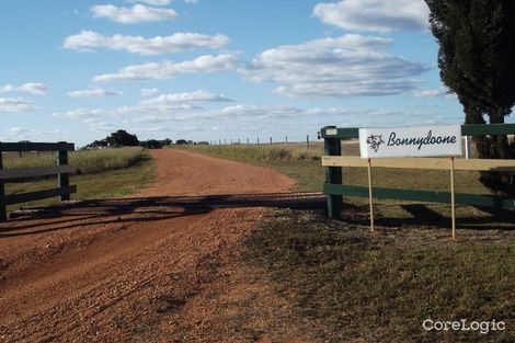 Property photo of 387 Spoonbill Road Clermont QLD 4721