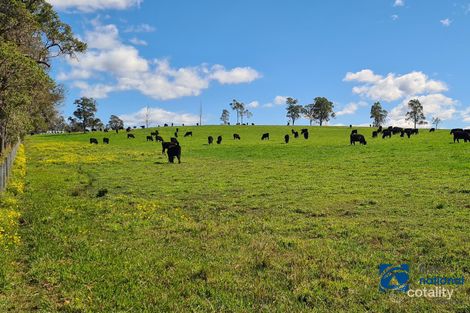 705 Stratheden Rd, Stratheden, NSW 2470