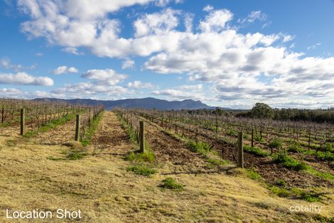 Property photo of 15 Maybon Close Branxton NSW 2335